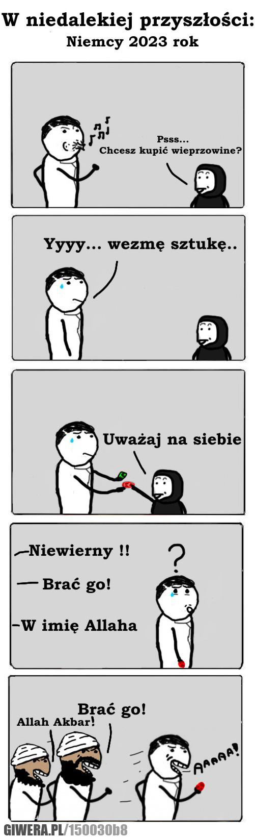uchodzcy, komiksy, zaborcza