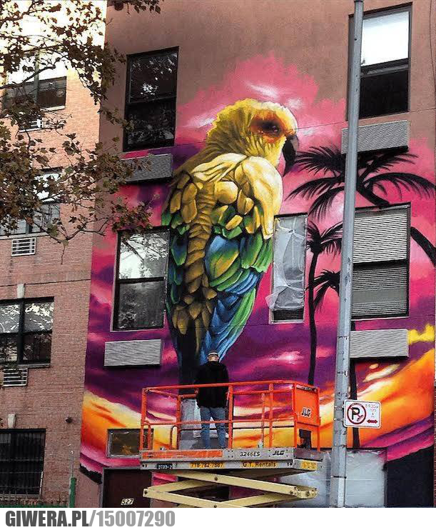 Mural,Papuga,Street Art, Graffiti