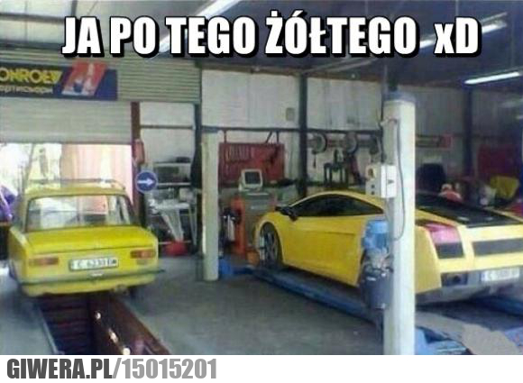 Żółty,Lamborghini