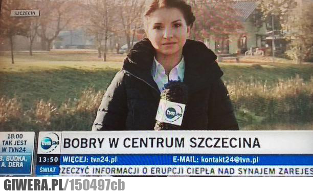 Szczecin,Bobry,TVN