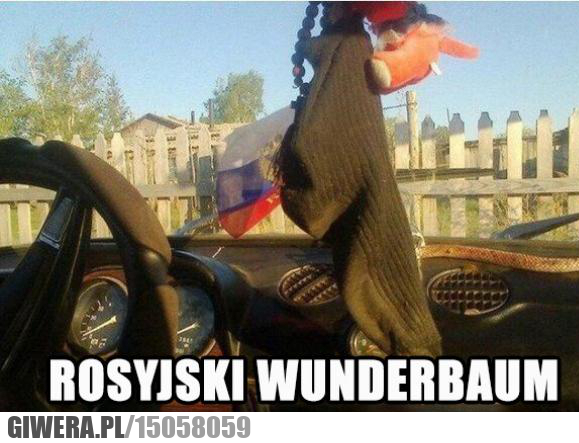 Wunderbaum,zapach,Rosja