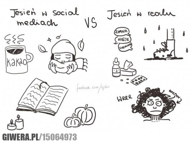 Jesień,Social Media