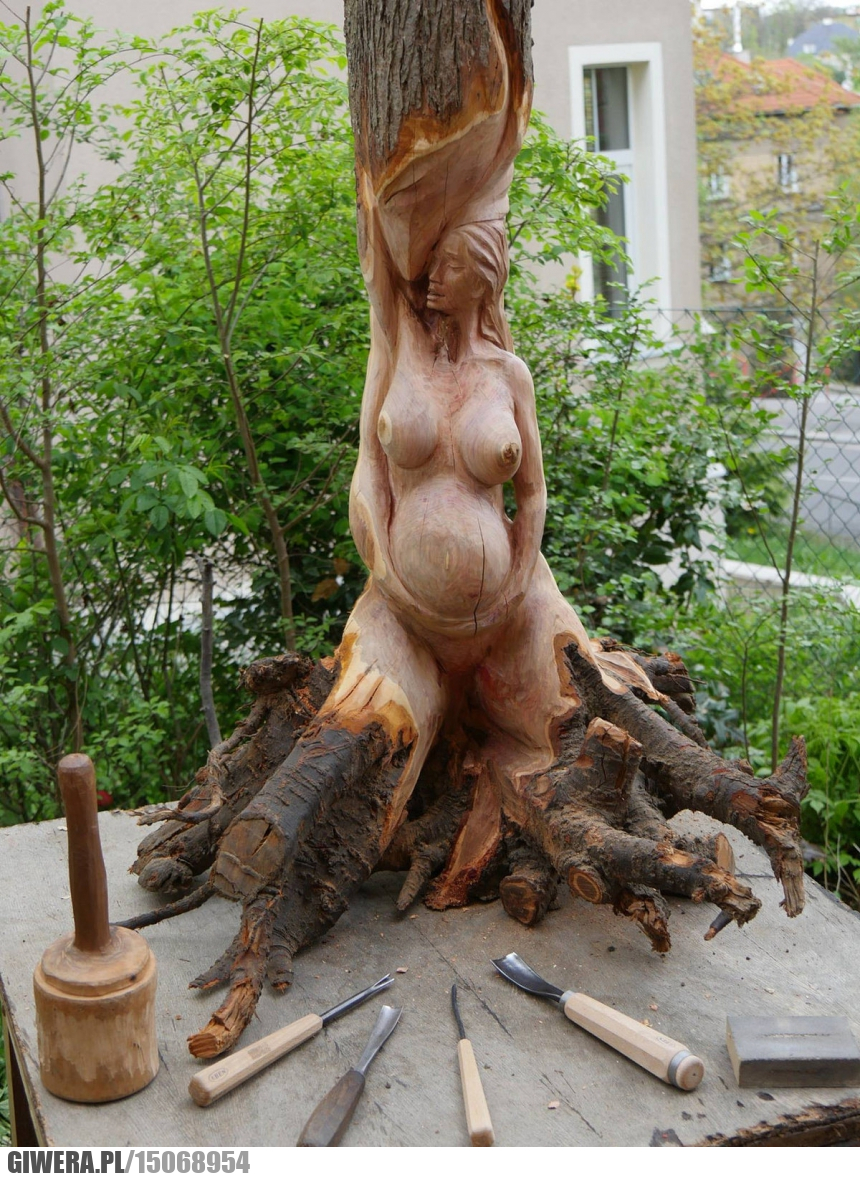 Rzeźbienie,drzewo,sztuka