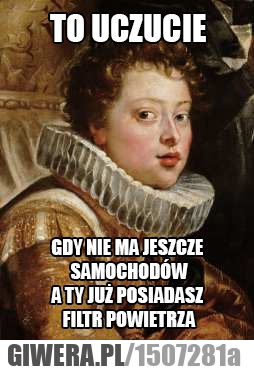 Filtr powietrza,samochód