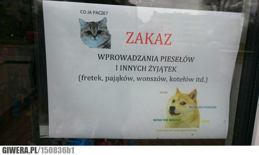 Zakaz,pieseł