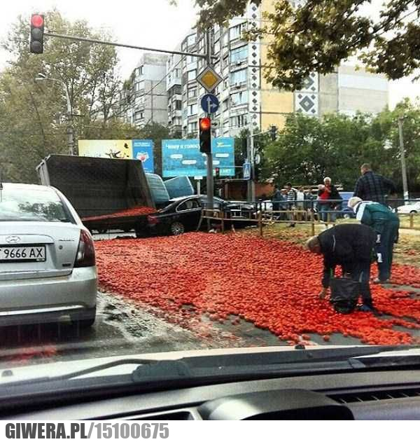 Pomidory,wypadek