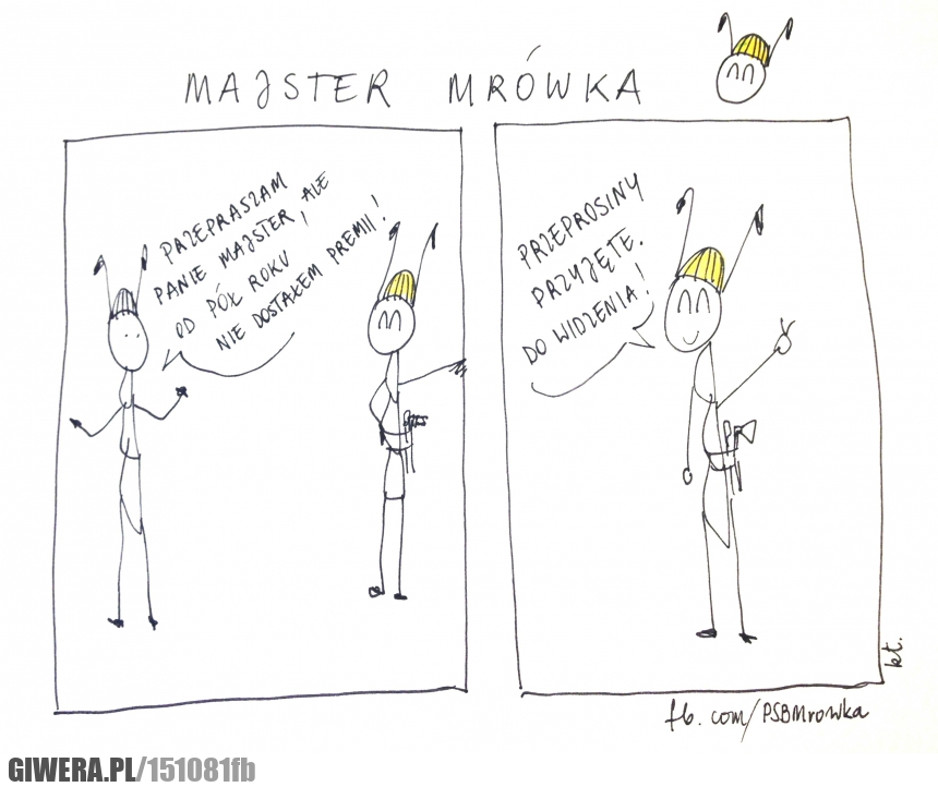 Majster mrówka