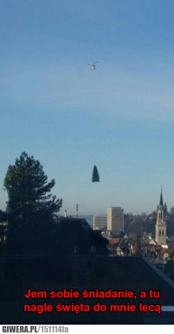 Święta lecą,Helikopter,Choinka