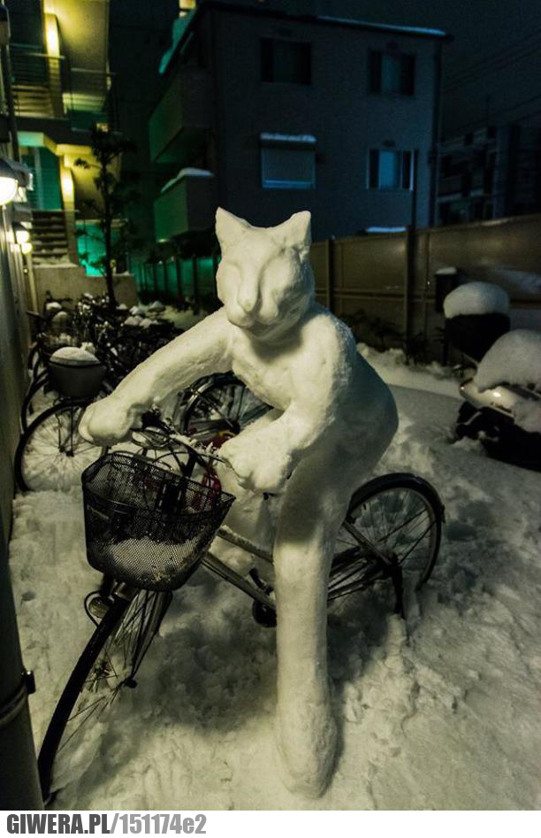 Bałwan,rower,kotek