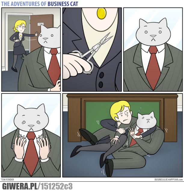 Kot Biznesmen,nożyczki