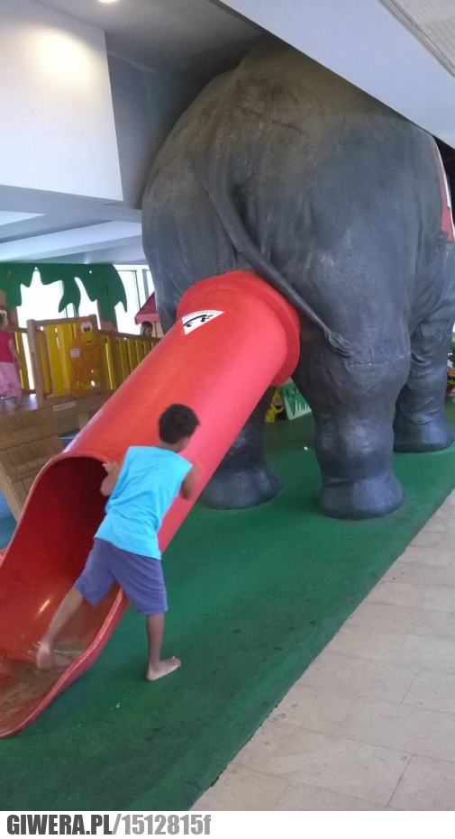  zjeżdżalnia,słoń,tyłek