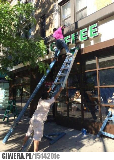 Mistrzowie bhp,drabina