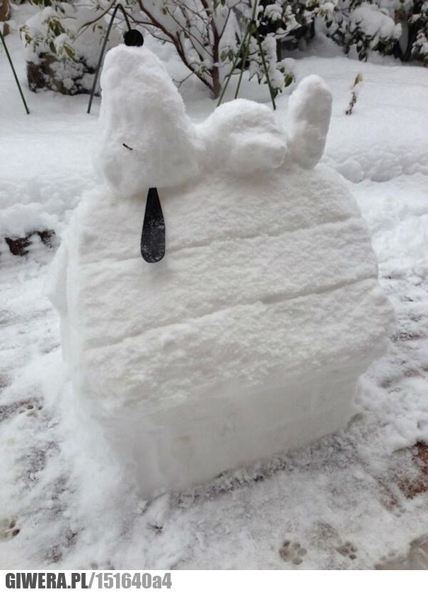 Snoopy,śnieg