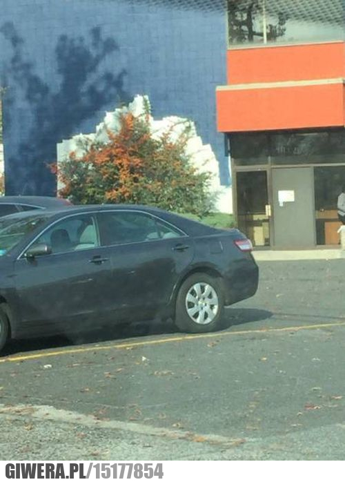 Lenistwo,malarz,kafelki