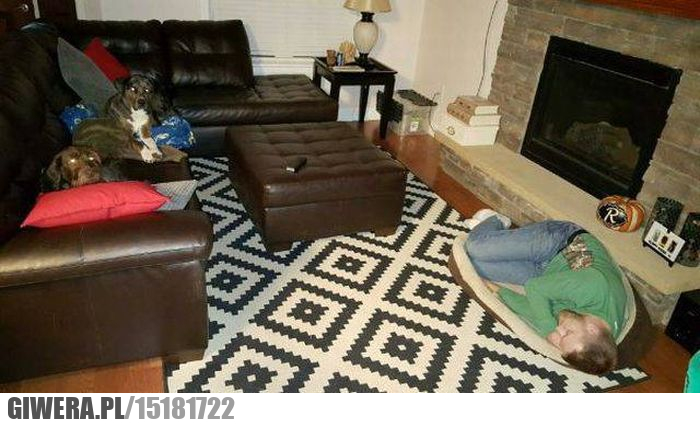 Łózko,śmieszny piesek