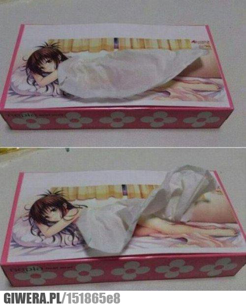 Japońskie pudełko chusteczek 