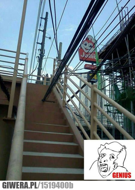 Geniusze,schody,linie,kable