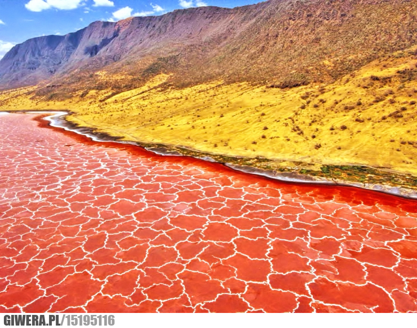 Jezioro Natron, Tanzania, Earthporn