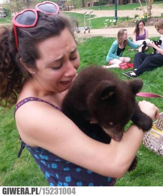 Niedźwiedź,ugryzienie