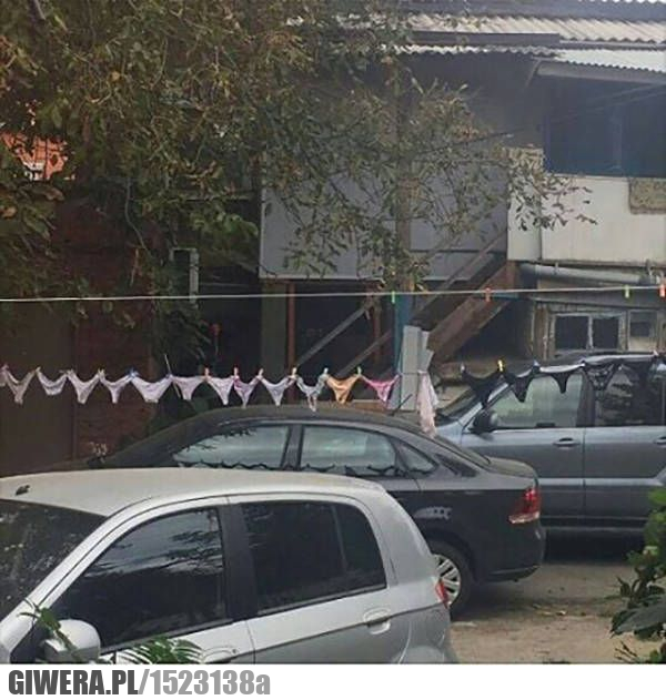 Parking,majtki,stringi,pranie