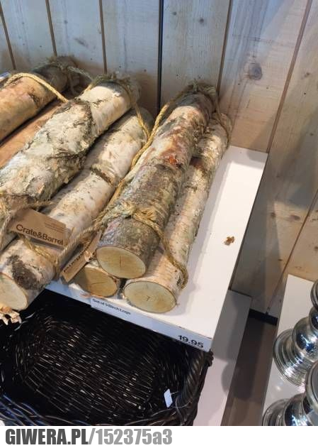 Hipsterskie drewno,drewno,debile