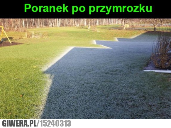 Poranek,przymrozek
