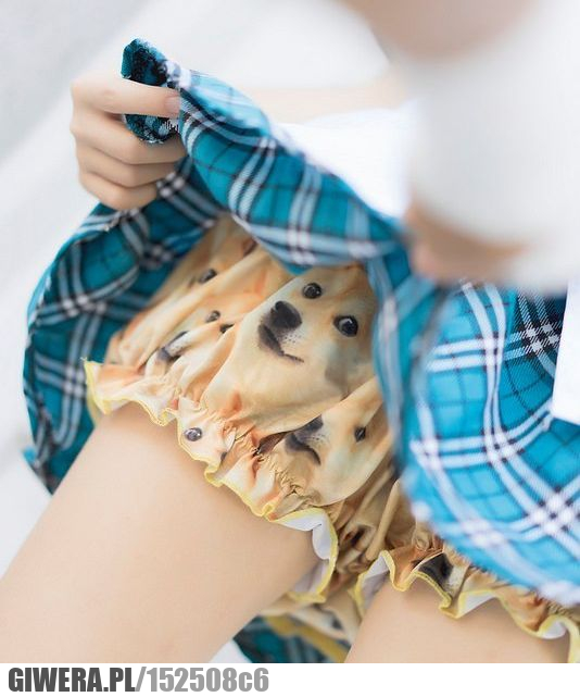 Moda Damska,Wof,pieseł