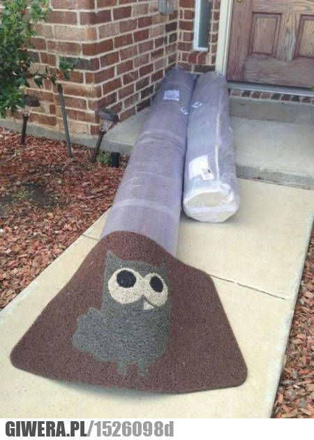 Kurier,wycieraczka,paczka