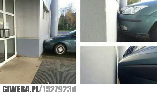 parkowanie, mistrz, mistrz parkowania