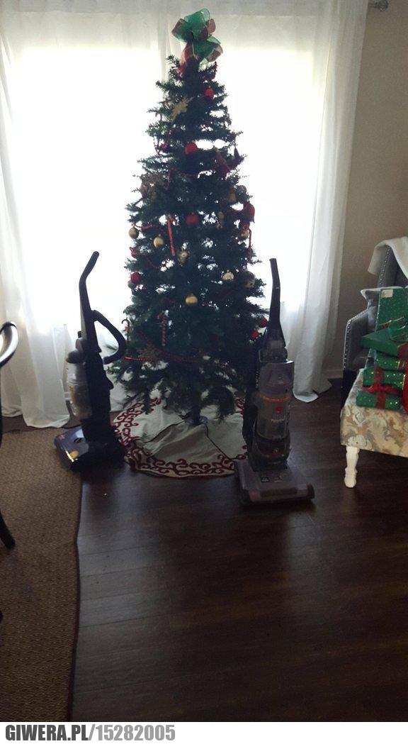 Choinka,pies,odkurzacz