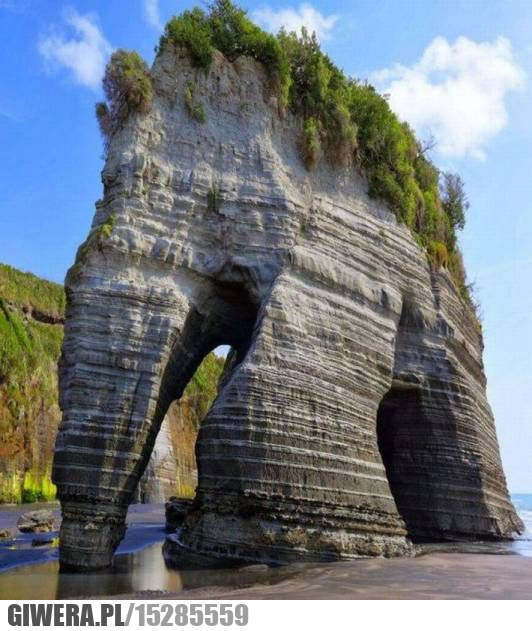 Słoniowa Skała, Nowa Zelandia,Earthporn