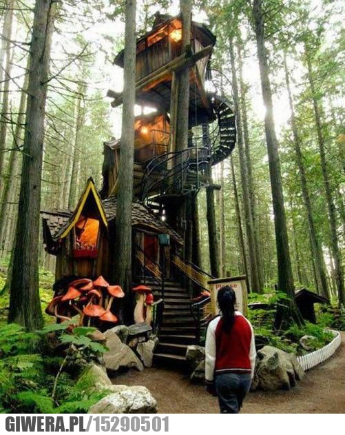 Dom na drzewie