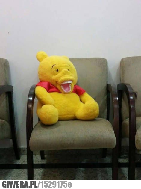 Kubuś Puchatek,meta