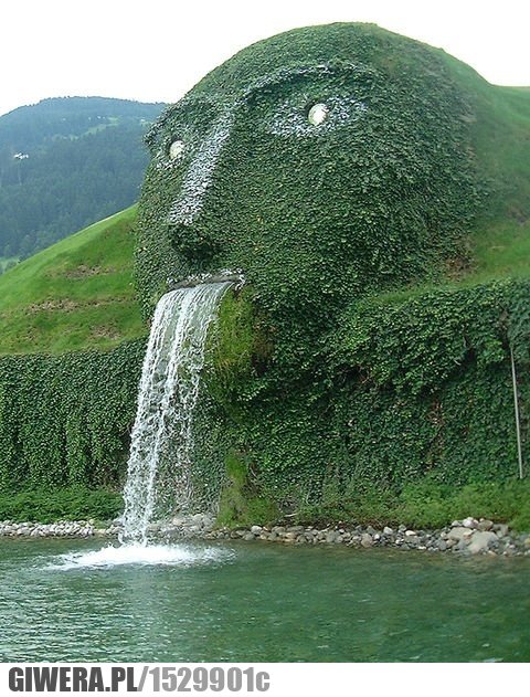 Humor, radość, zabawa, śmieszne, wodostap, twarz, zieleń, woda, 