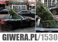 Minus posiadania Kabrioleta