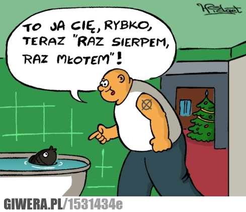 karp, wigilia, nacjonalista, sierp, młot, antykomuna