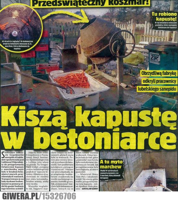 kapusta, betoniarka, smieszne, szok, humor, gazeta, 