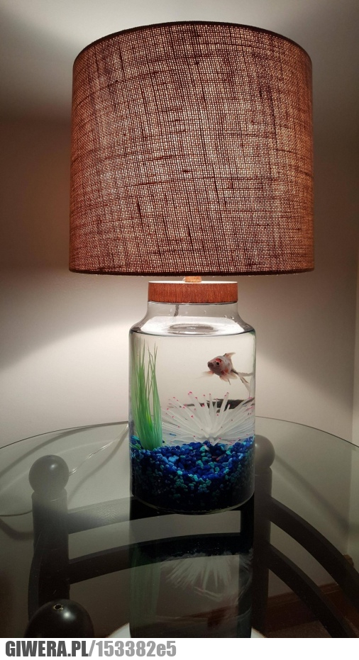 Akwarium,lampa
