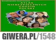 W dobrych księgarniach.