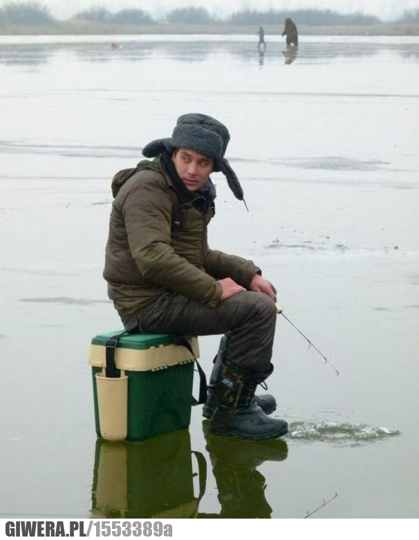 Coś tu jest nie tak, niedzwiedź