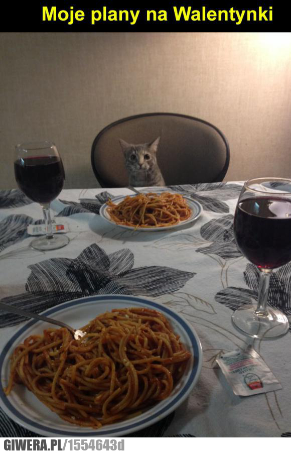 Silna i niezależna kobieta,walentynki 