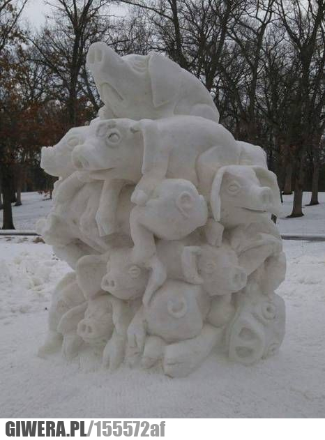 Bałwan,świnia,świnie