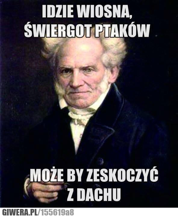 Schopenhauer,Wiosna,Dach,Depresja