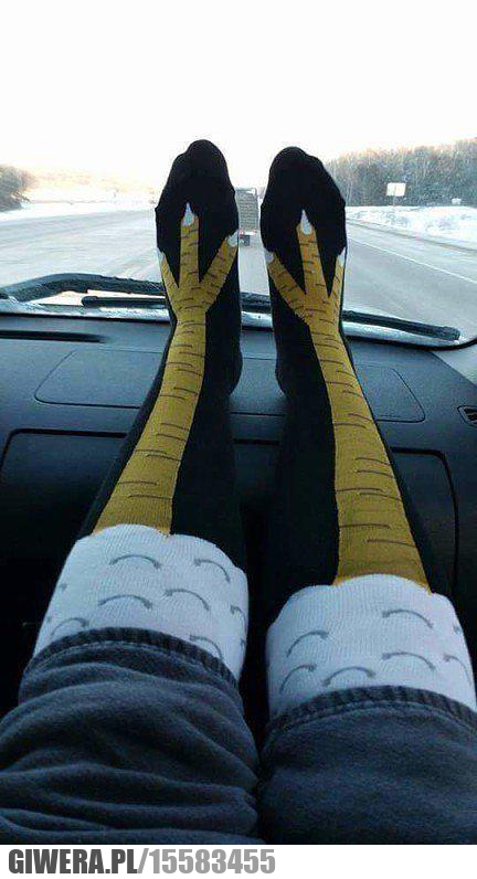 Moda damska,rajstopy