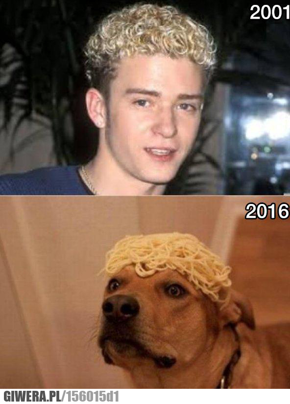 timberlake, piosenkarz, pies, fryzura