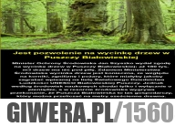 Puszcza Białowieska