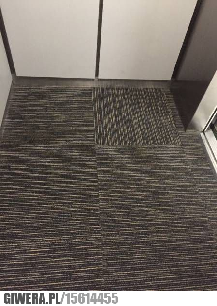 Piekło perfekcjonistów,dywan