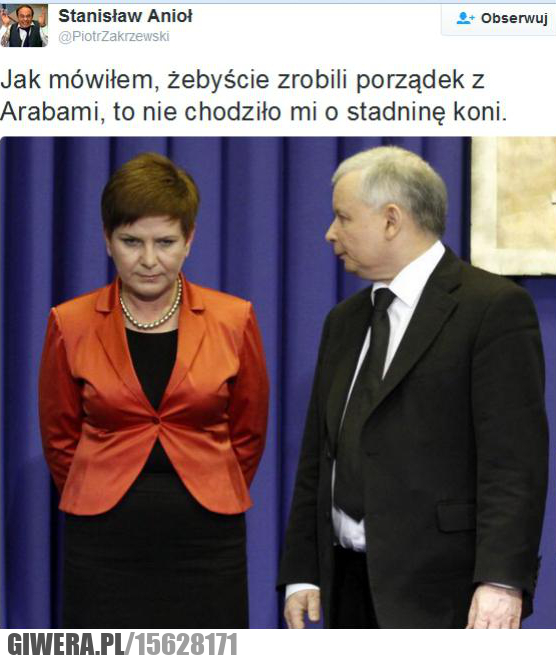 Ups,Araby,Stadnina koni,Kaczyński