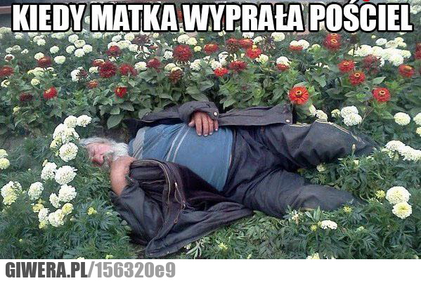 Czysta pościel,kwiaty,bezdomny