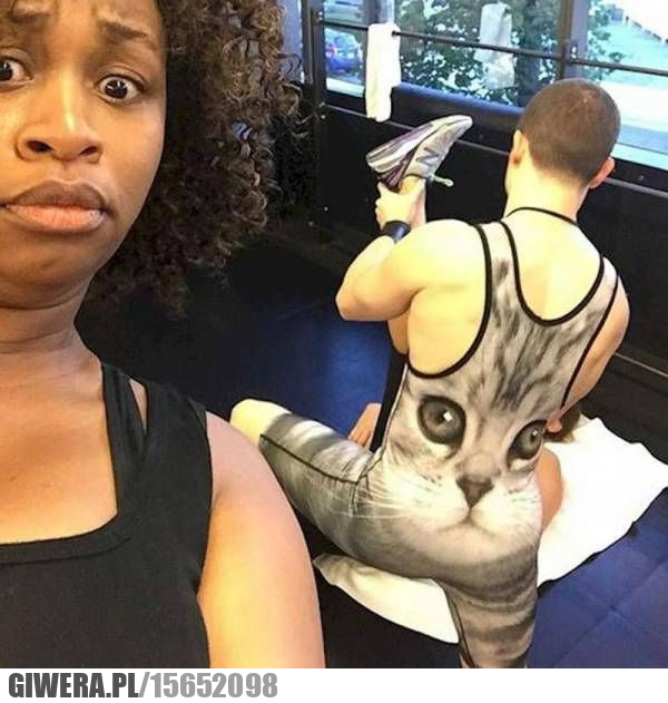 Siłownia,Strój,kot